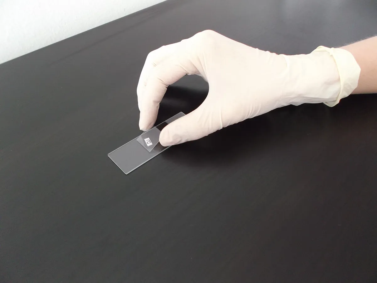A gloved hand holding a microscope slide