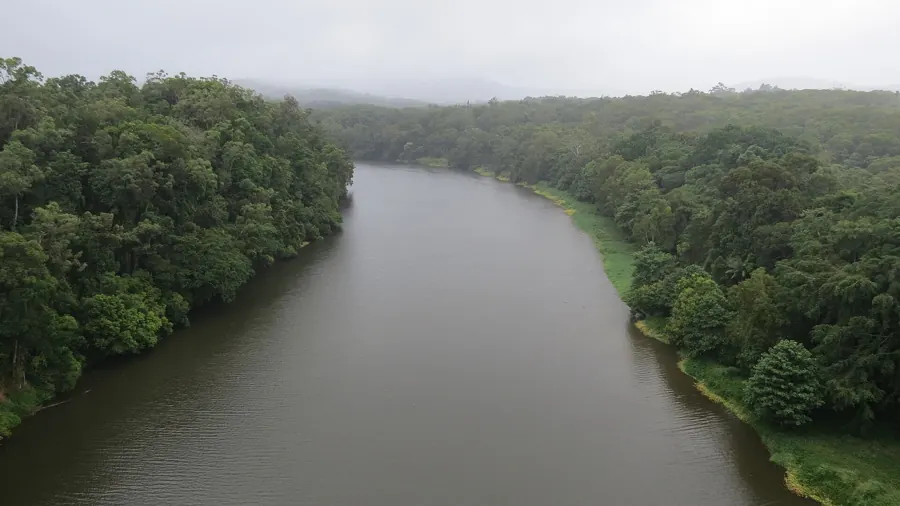 Aerial view of a river winding through the Daintree rainforest in Queensland