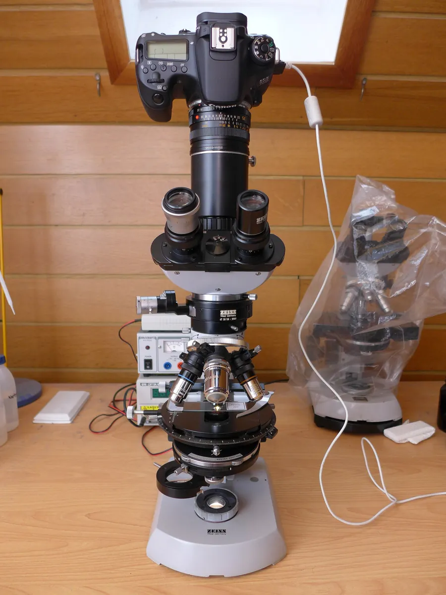 A compound microscope with a DSLR camera mounted on its photo port