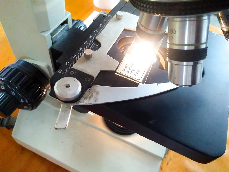 Close-up of compound microscope objectives over a slide