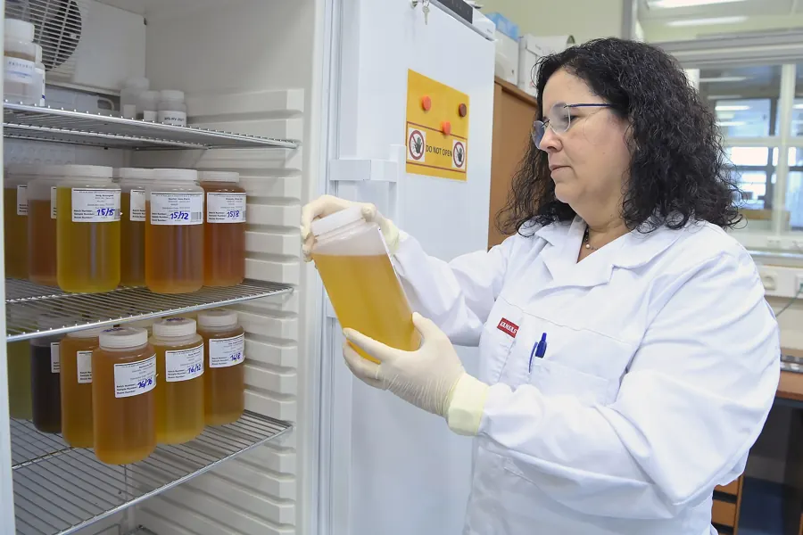 A scientist holding sample jars in front of a laboratory refrigerator