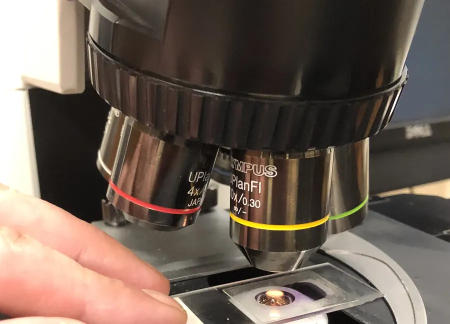 A hand placing a glass slide beneath a microscope objective