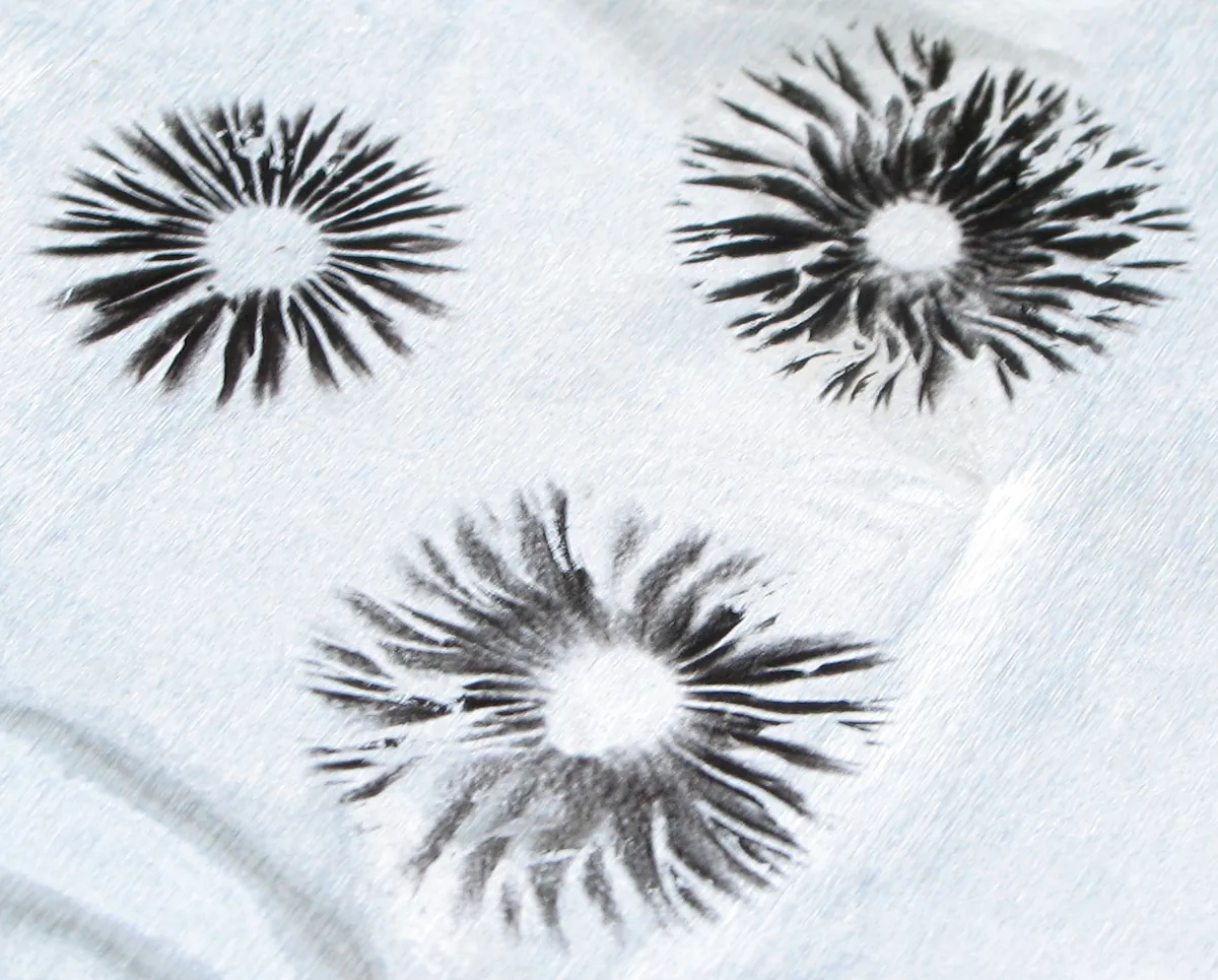 Three jet-black spore prints from Panaeolus