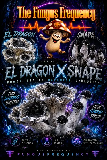 El Dragon x SNAPE Spore Syringe 10ml