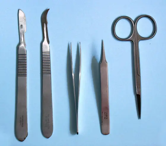 Scalpels and Small Scissors